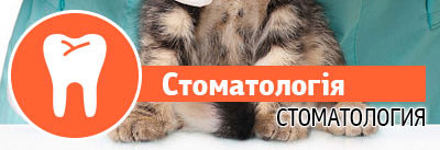 Стоматологія