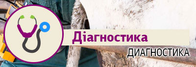 Діагностика