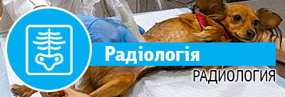 Радіологія
