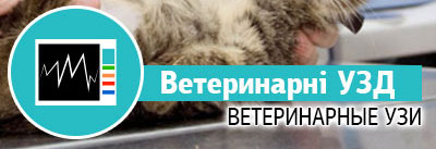 Ветеринарні УЗД